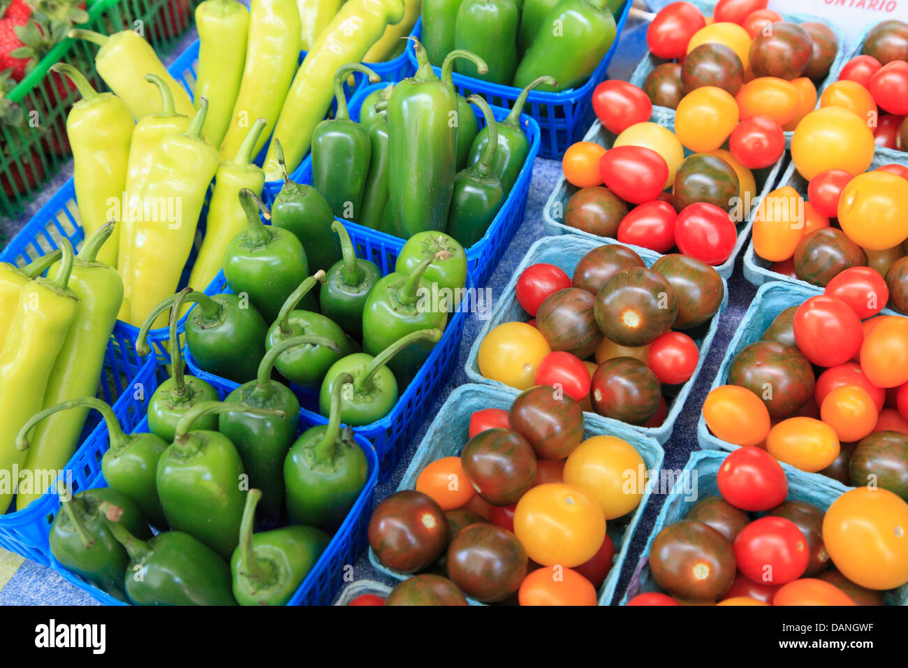 Canada, Ontario, Toronto, market, peppers, cherry tomatoes, Stock Photo