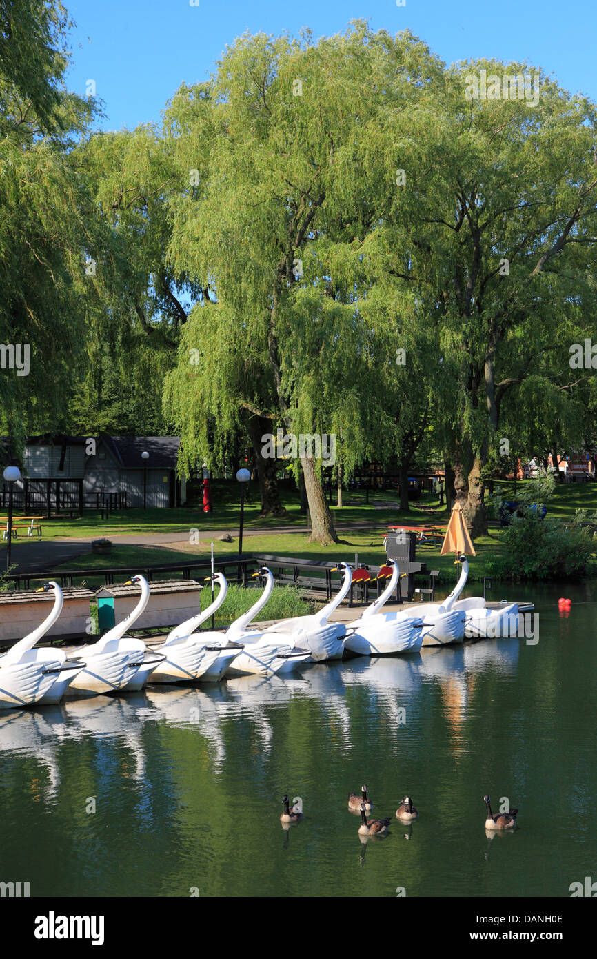 Canada, Ontario, Toronto, Island Park, boats, Canada geese, Stock Photo