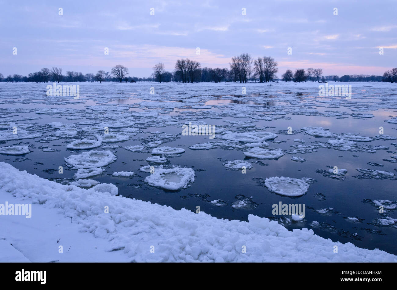 Drifting ice on Elbe River, Flusslandschaft Elbe Biosphere Reserve, Germany Stock Photo