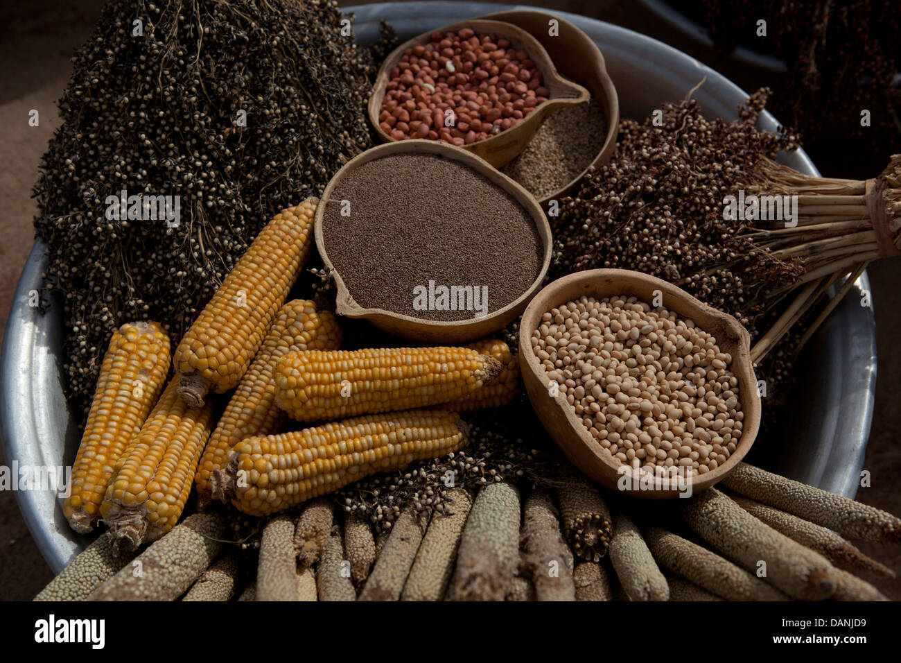 Harvesting corn africa hi-res stock photography and images - Alamy