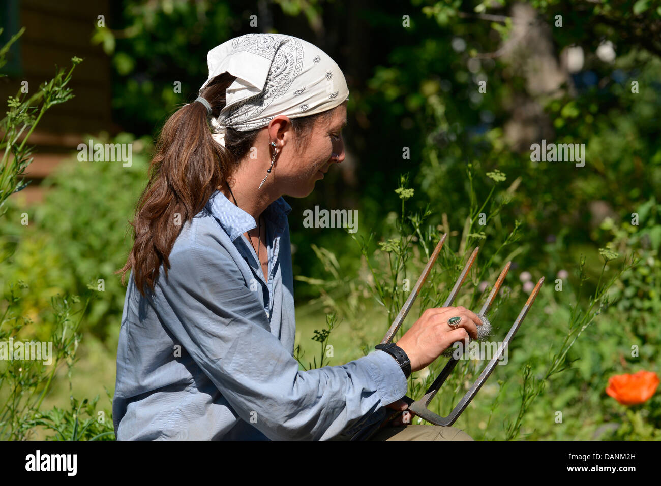 Gardener using steel wool to clean rust of a garden tool in Oregon's Wallowa Valley. Stock Photo
