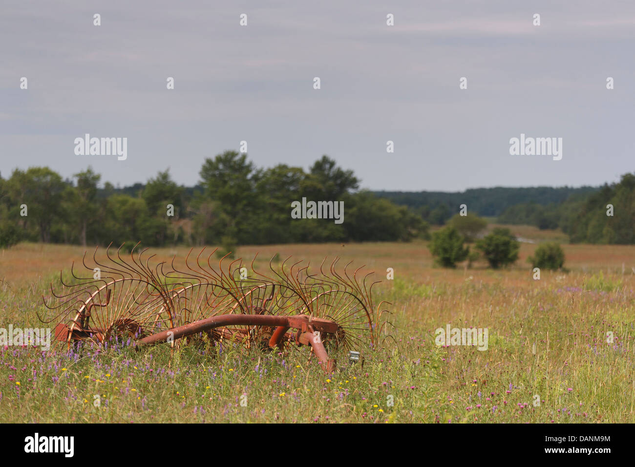 Old farm implement in field with trees in background on a sunny day Stock Photo