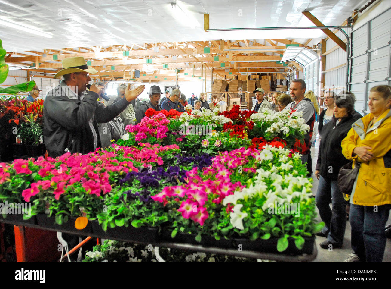 Flower auction at the Central Wisconsin Produce Auction in Withee, Wisconsin Stock Photo