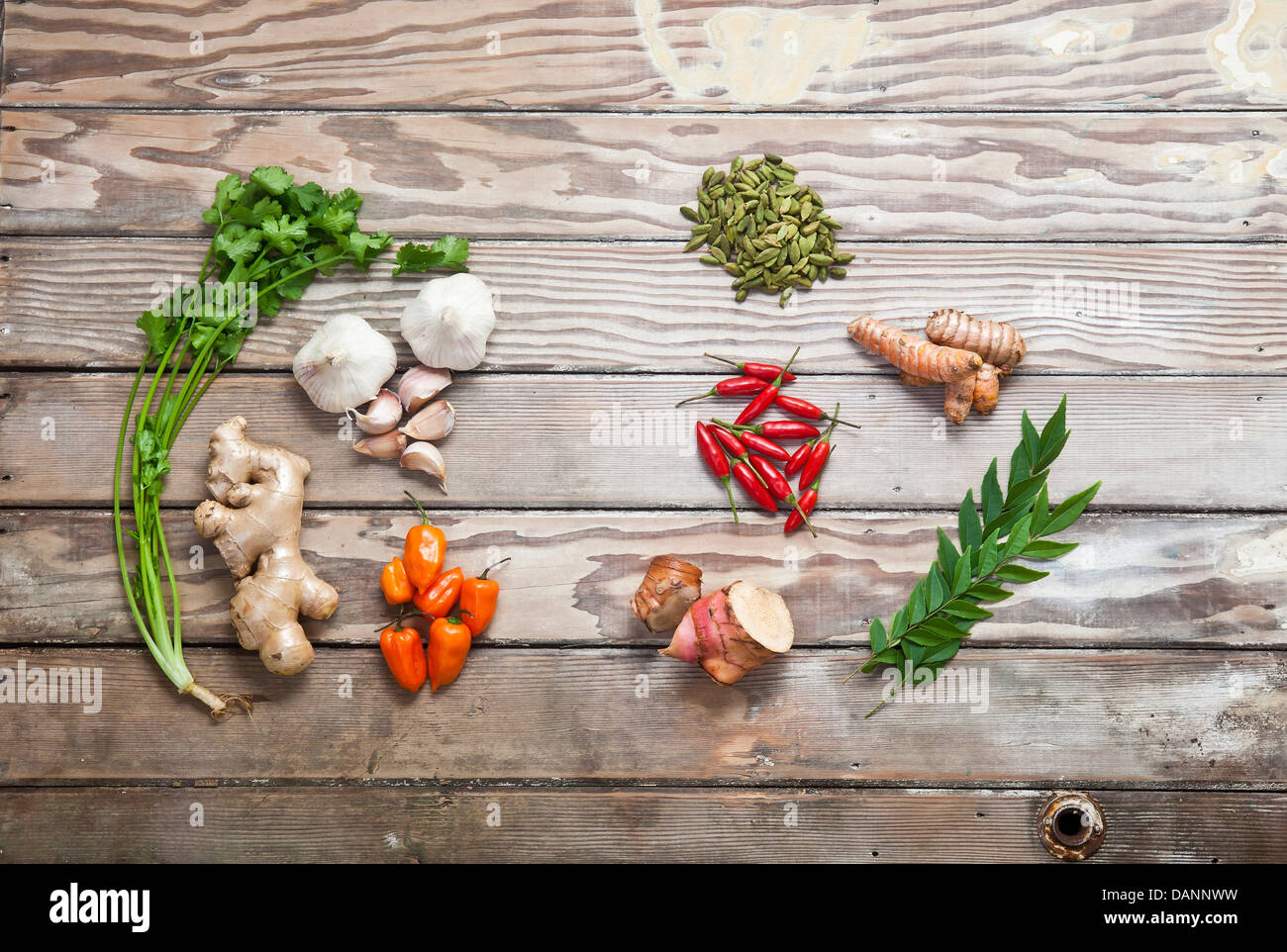 A variety of fresh herbs and spices laid out on a sanded wood surface: cardamom, ginger, chillies, garlic and tumeric. Stock Photo