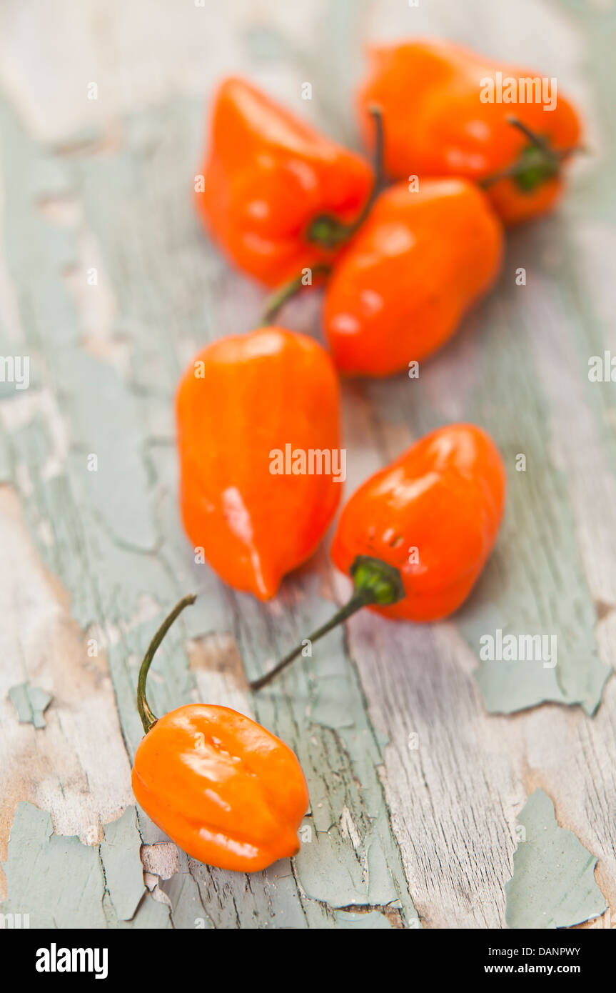 Orange Chillies High Resolution Stock Photography and Images - Alamy