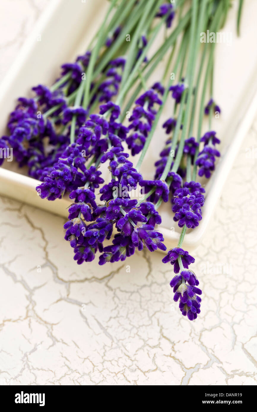Edible lavender flowers hi-res stock photography and images - Alamy
