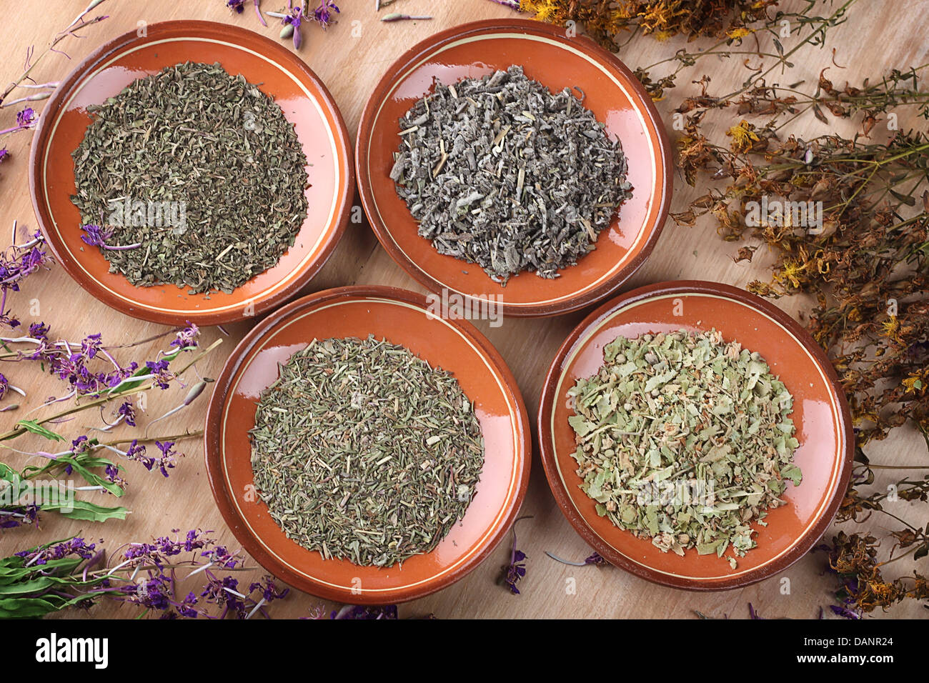 Medicinal herbs in clay saucers on wooden table Stock Photo