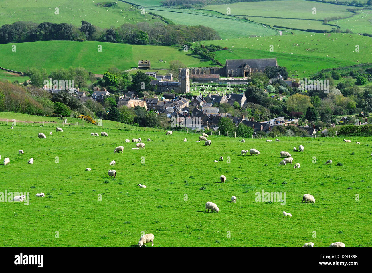 A view from the Dorset Southern Ridgeway with sheep in the foreground and Abbotsbury in the distance Stock Photo