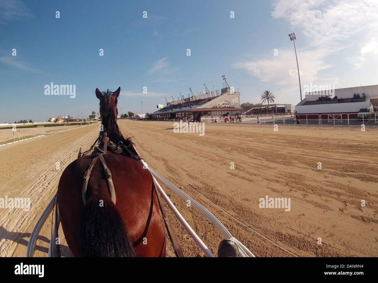 Riders during a harness racing horse race in Palma de Mallorca´s