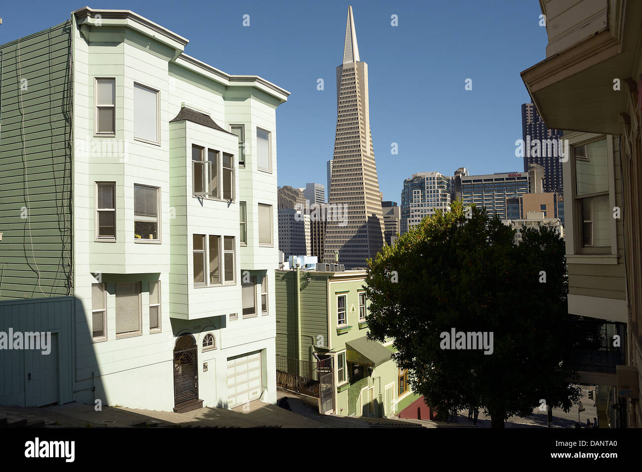 transamerica building san francisco Stock Photo