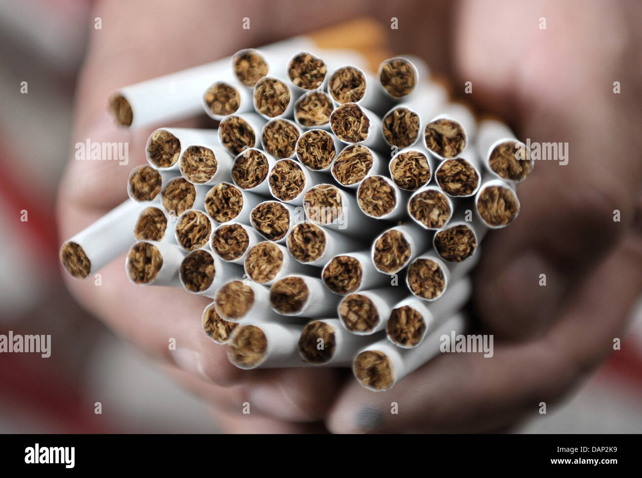 A customs investigator holds fake cigarettes in his hands above other fake Marlboro cigarette parcels without revenue stamp at a warehouse in Hamburg, Germany, 21 July 2011. The customs investigation office seizured 13 million cigerettes. Photo: CHRISTIAN CHARISIUS Stock Photo
