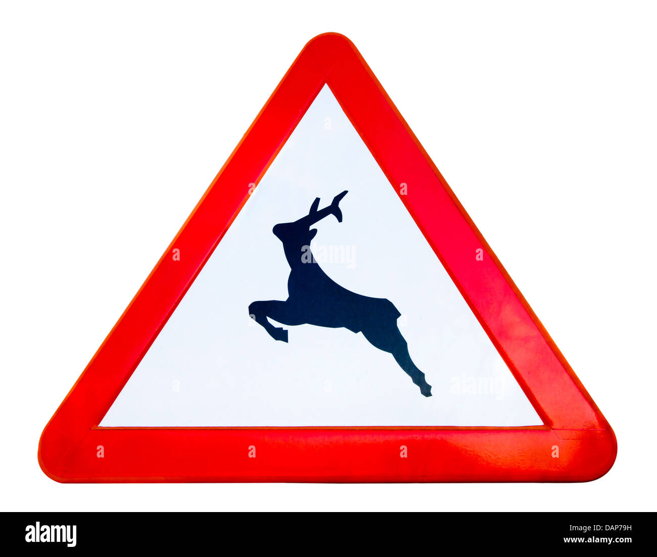 Traffic sign warns that wild animals can cross the road Stock Photo