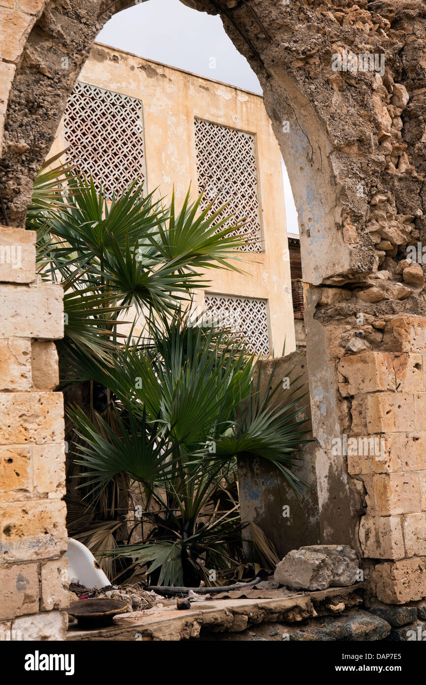 Africa, Eritrea, Massawa, Old Town, palms growing in yard of historic coral block built house Stock Photo