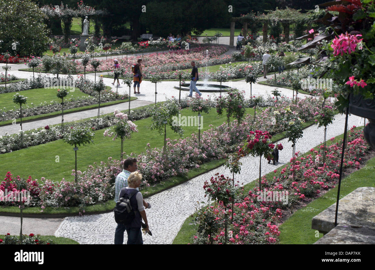 Visitors to the flower island Mainau in Lake Constance look at flowers in the rose gardens in