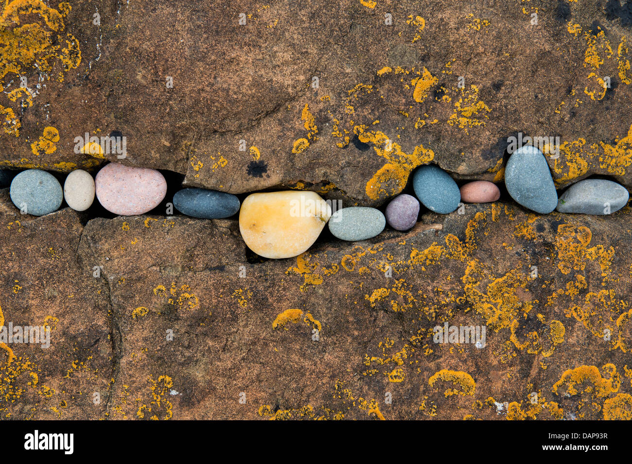 Pebbles in cracked rock pattern. Northumberland Coastline, England Stock Photo
