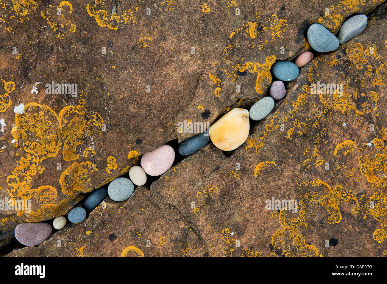 Pebbles in cracked rock pattern. Northumberland Coastline, England Stock Photo