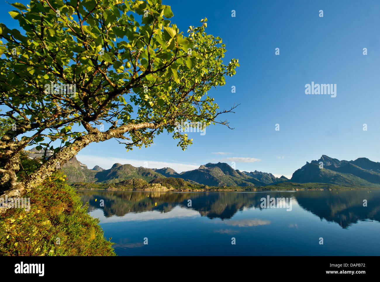 Mountains are reflected in the water on the Raftsund shores on the islands of Lofoten in Digermulen, Norway, 25 July 2011. The 190 km long island chain Lofoten features spectacular sites and mountains. Situated 100 to 200 km north of the Polar circle in the Norwegian Sea, the islands share the 67th/68th degree of latitude with central Greenland and North Alaska. About 20 per cent o Stock Photo