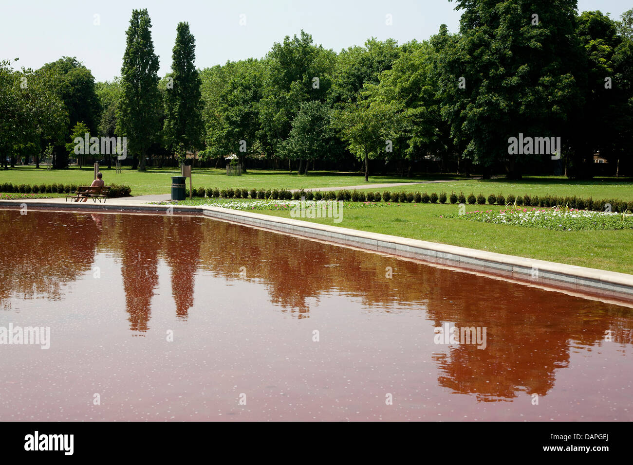 Victoria Park, London, UK. View across red pond to trees in full summer green. Contrast of reds and greens. Stock Photo