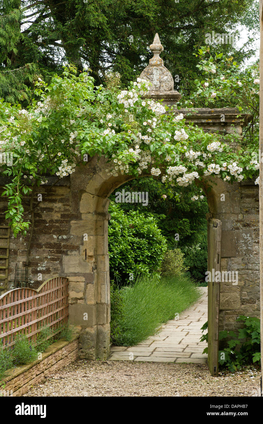 White dog rose climbing over arched stone gateway in Ampney Park, 17th century English country house in Cotswold stone Stock Photo