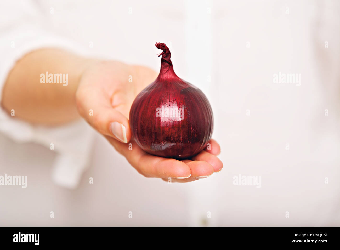 Woman's one hand holding a large glossy onion Stock Photo