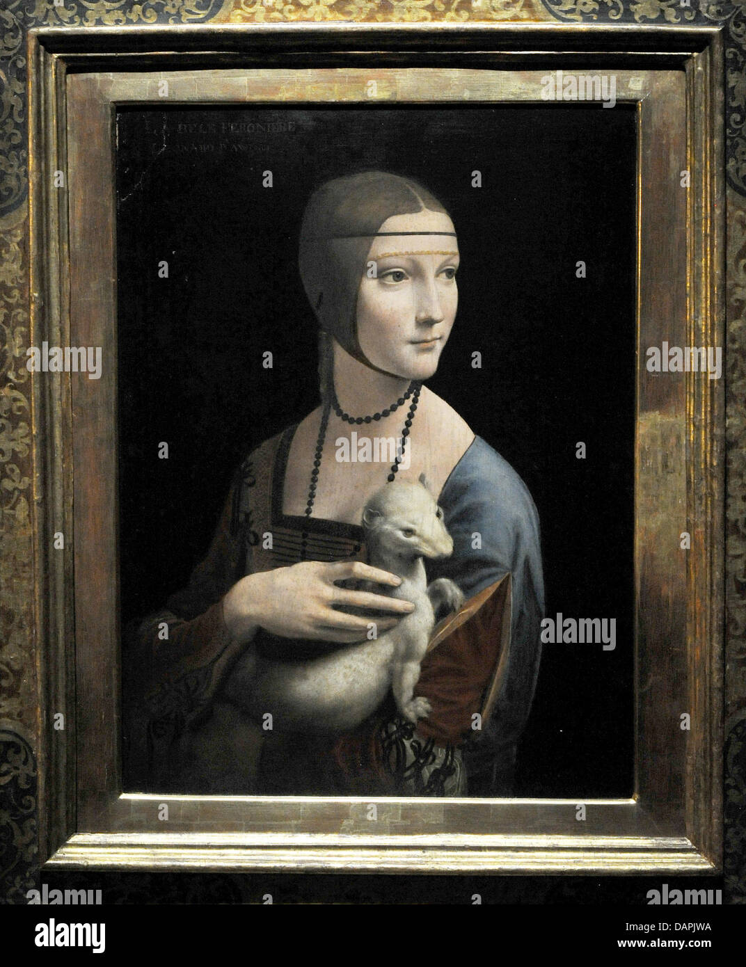 Lady with the ermine framed hi-res stock photography and images - Alamy