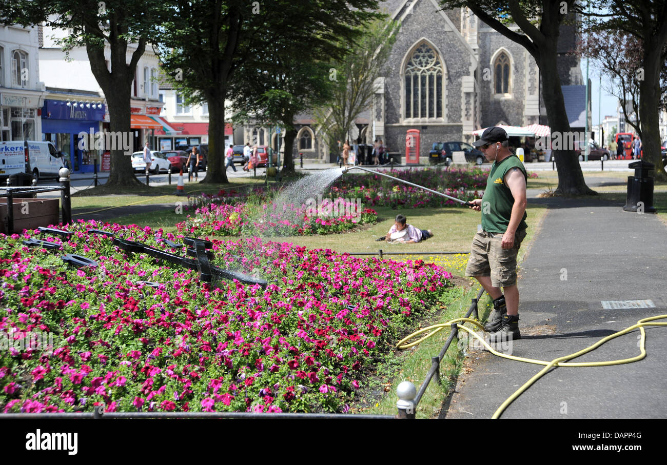 Hove, UK. 17th July, 2013. A council worker waters the plants at the floral clock in Hove as the heatwave continues today Stock Photo