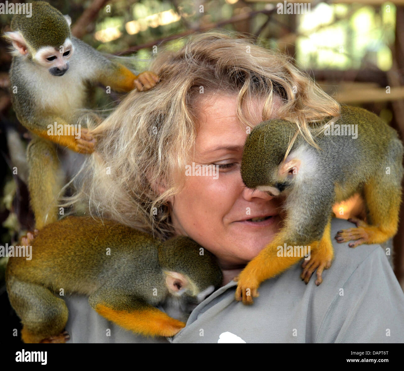 Zookeeper Cornelia Hofmann feeds 30 lively squirrel monkeys at the renovated interior compound