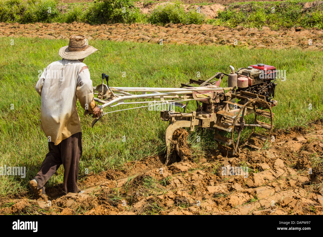 Soil preparation for planting rice farmers Stock Photo Alamy
