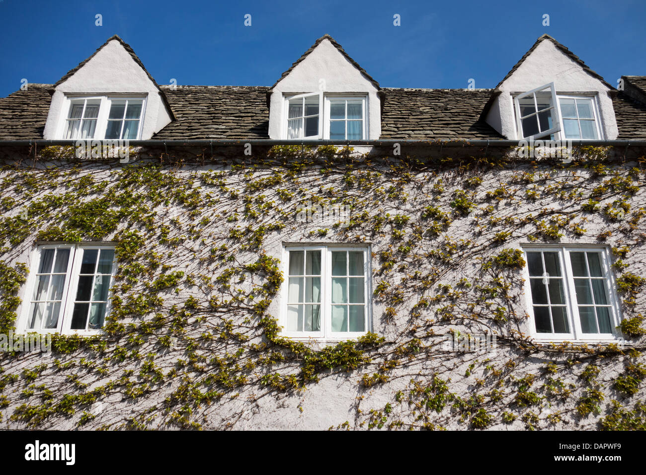 Ivy-covered house in Broad Street, Oxford, in springtime 2 Stock Photo