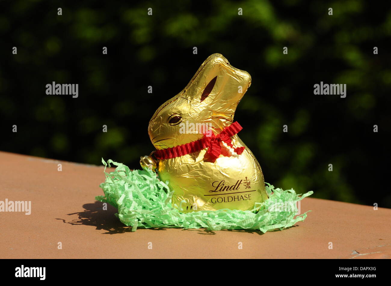 A Lindt chocolate rabbit is set up in Cologne, Germany, 01 September 2011. Photo: Horst Galuschka Stock Photo
