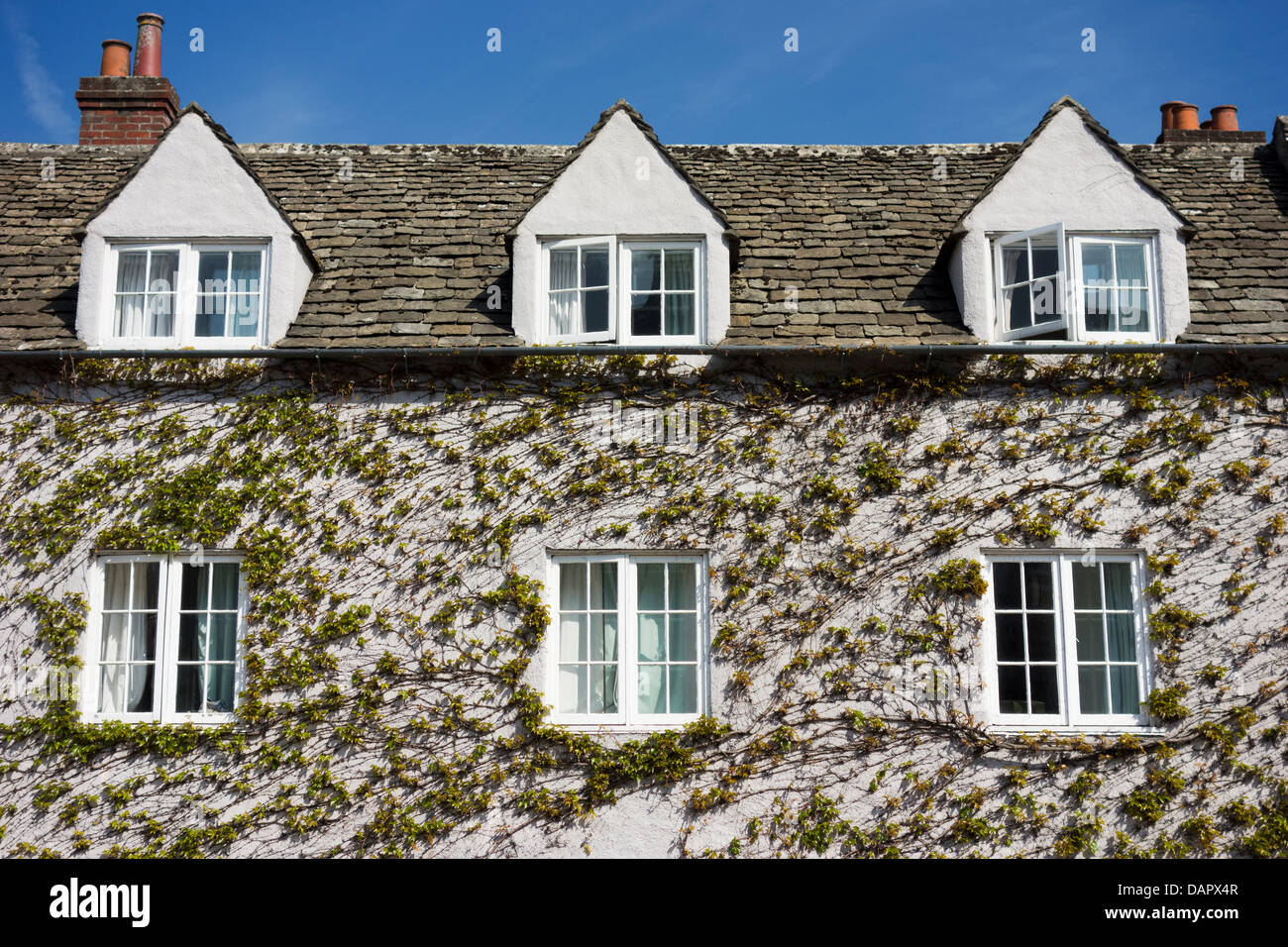 Ivy-covered house in Broad Street, Oxford, in springtime Stock Photo