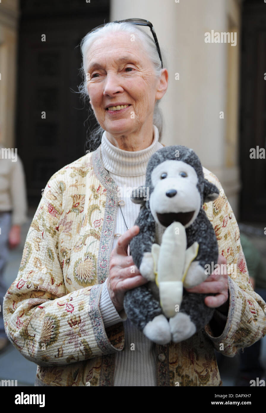 British primatologist Jane Goodall holds a speech at the town hall in Hamburg, Germany, 3 September 2011. 77-year old Goodall was awarded the honourary international ambassadorship of the city of Hamburg and received a charter in the shape of a green leaf from the students of a so-called 'climate school'. PHOTO: Christian Charisius Stock Photo