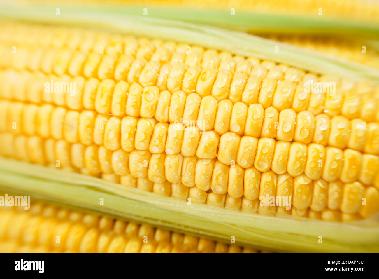 Corn kernel hires stock photography and images Alamy