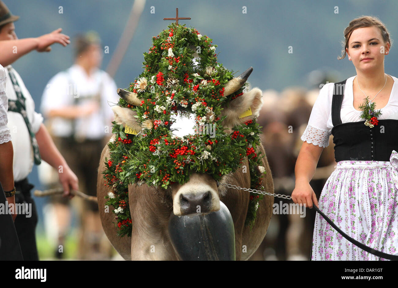 Alp farmers drive their cattle to the valley during the Viehscheid