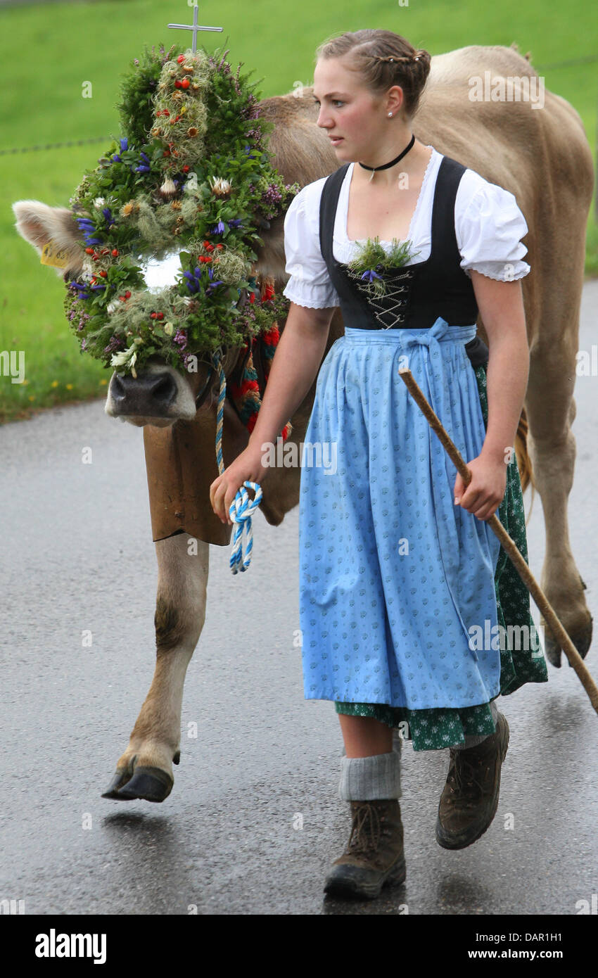 Alp farmers drive their cattle to the valley during the Viehscheid