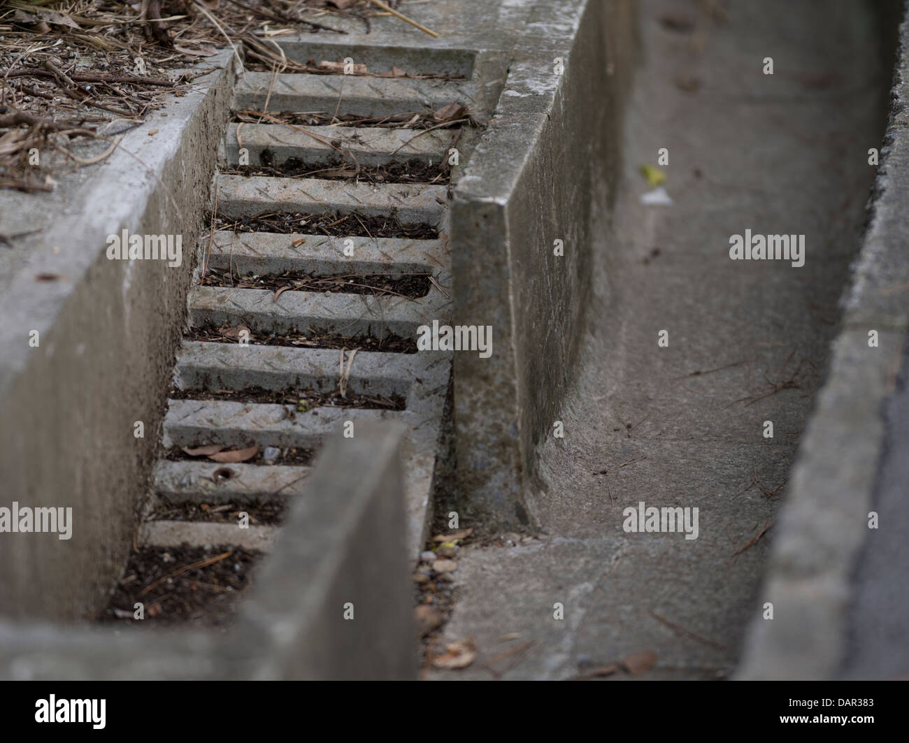 Gully Exit ramps to protect the Okinawa Rail ( Gallirallus okinawae ) an endangered bird endemic to northern Okinawa, Japan Stock Photo