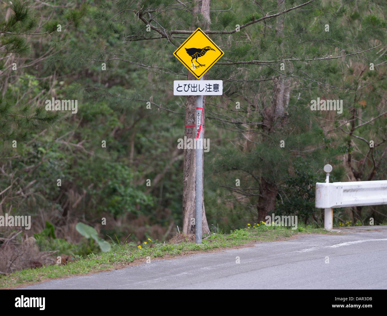Road warning signs to protect the Okinawa Rail ( Gallirallus okinawae ) an endangered bird endemic to northern Okinawa, Japan Stock Photo