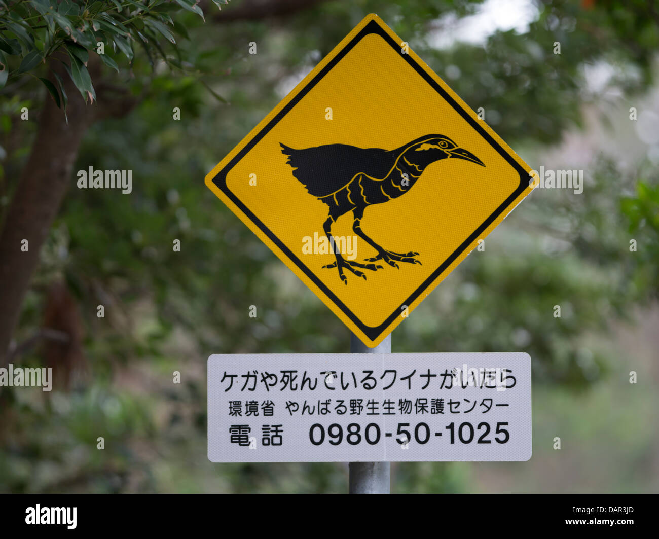Road signs to protect the Okinawa Rail ( Gallirallus okinawae ) an endangered bird endemic to northern Okinawa, Japan Stock Photo