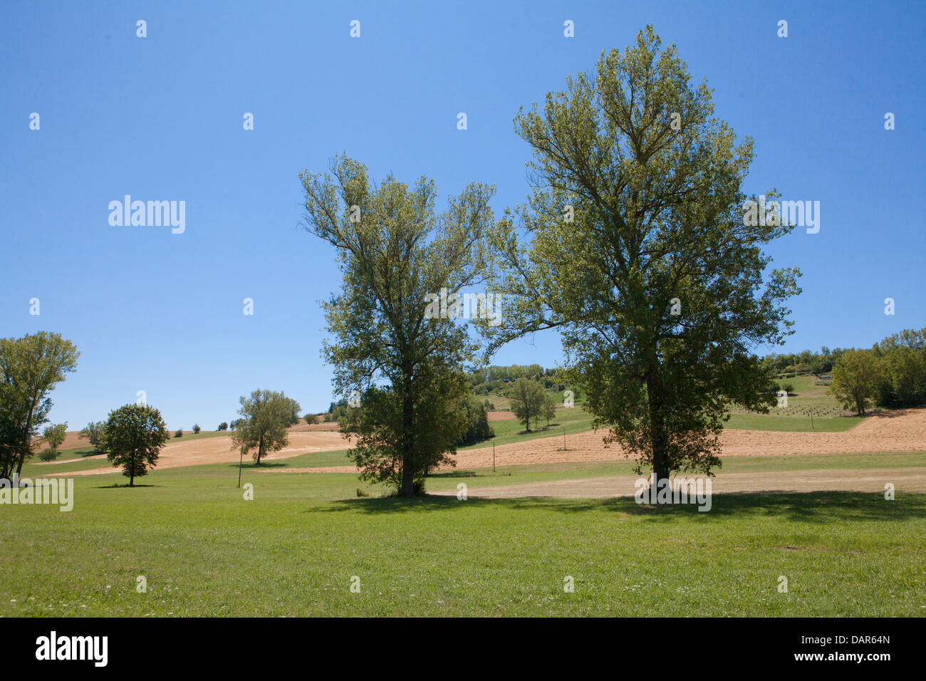 Tonco hires stock photography and images Alamy