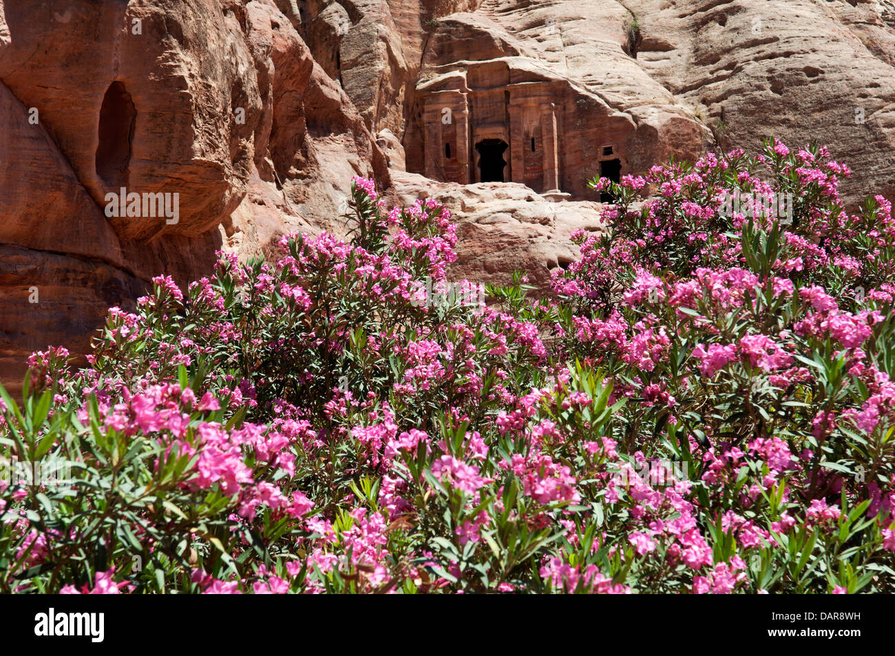 Petra, Jordan Stock Photo