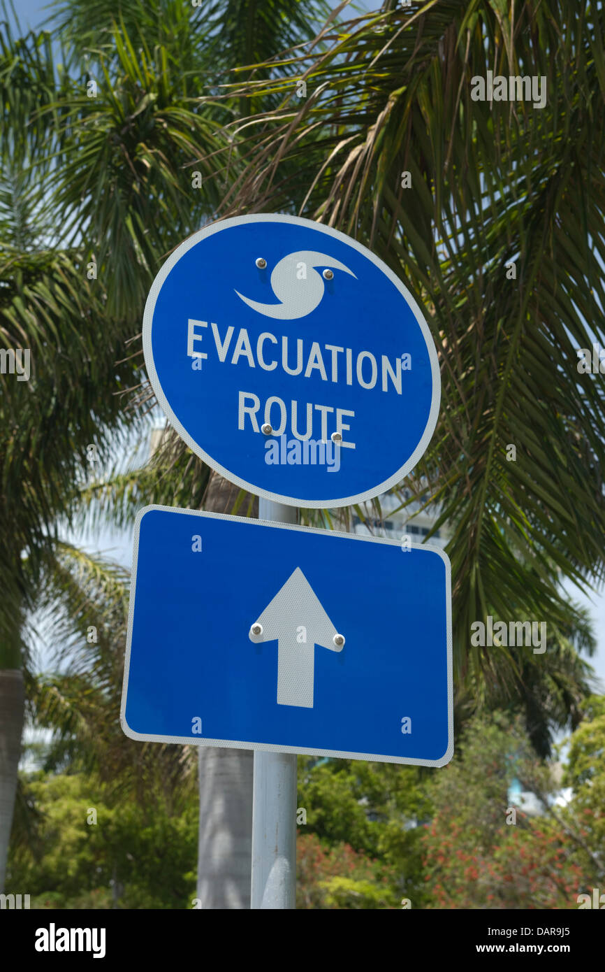 BLUE HURRICANE EVACUATION ROUTE SIGN IN FRONT OF PALM TREES FORT LAUDERDALE FLORIDA USA Stock Photo