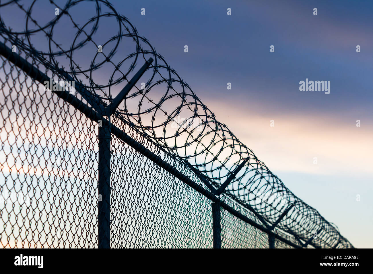 barbed wire fence and sky Stock Photo