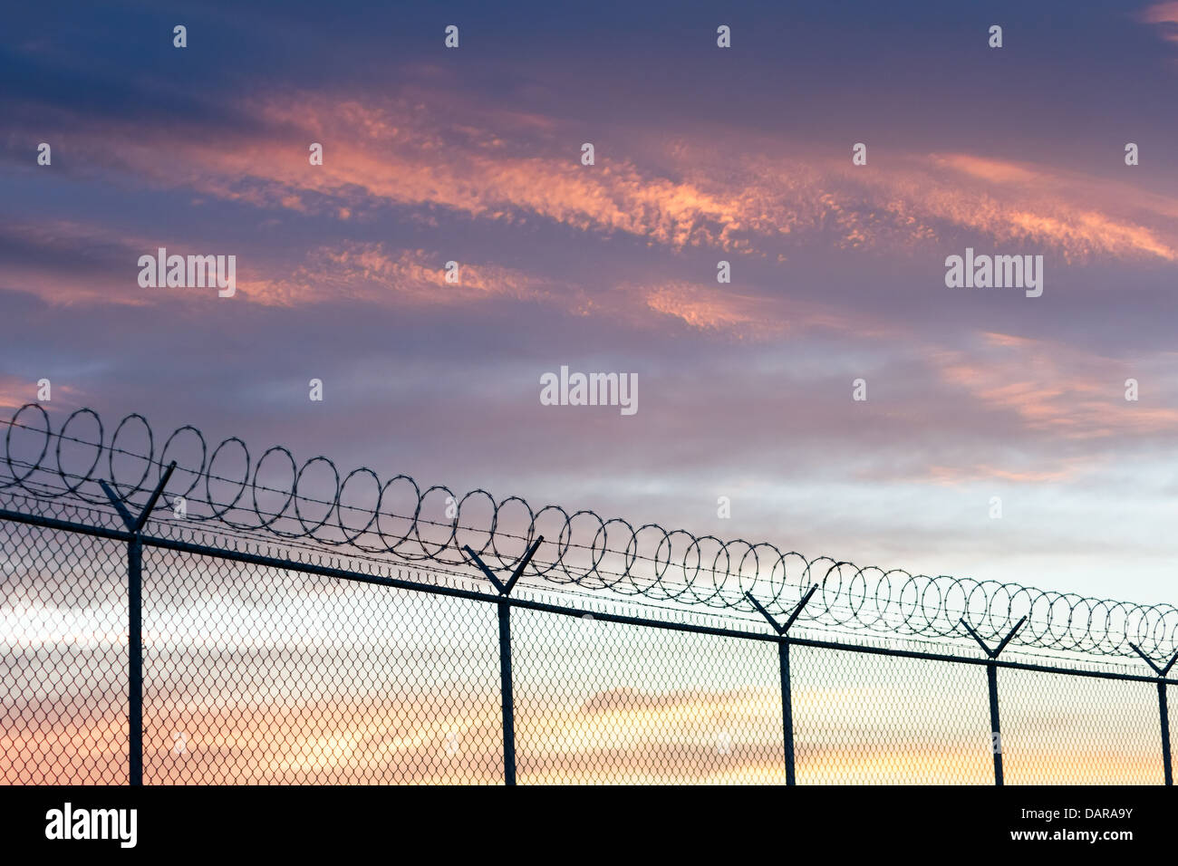 barbed wire fence and sky Stock Photo