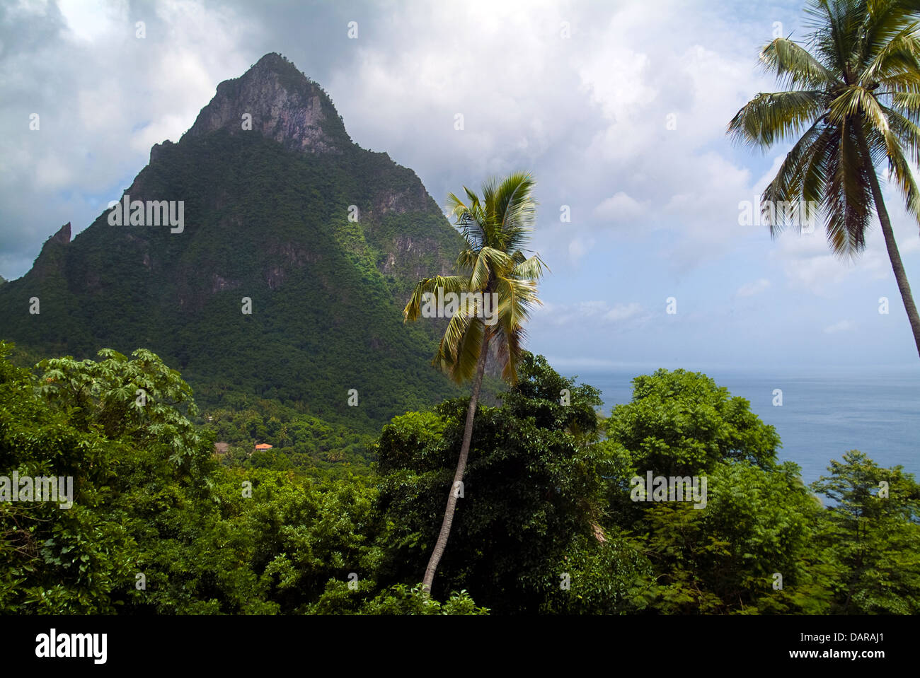 Gros piton and st lucia and climb hires stock photography and images
