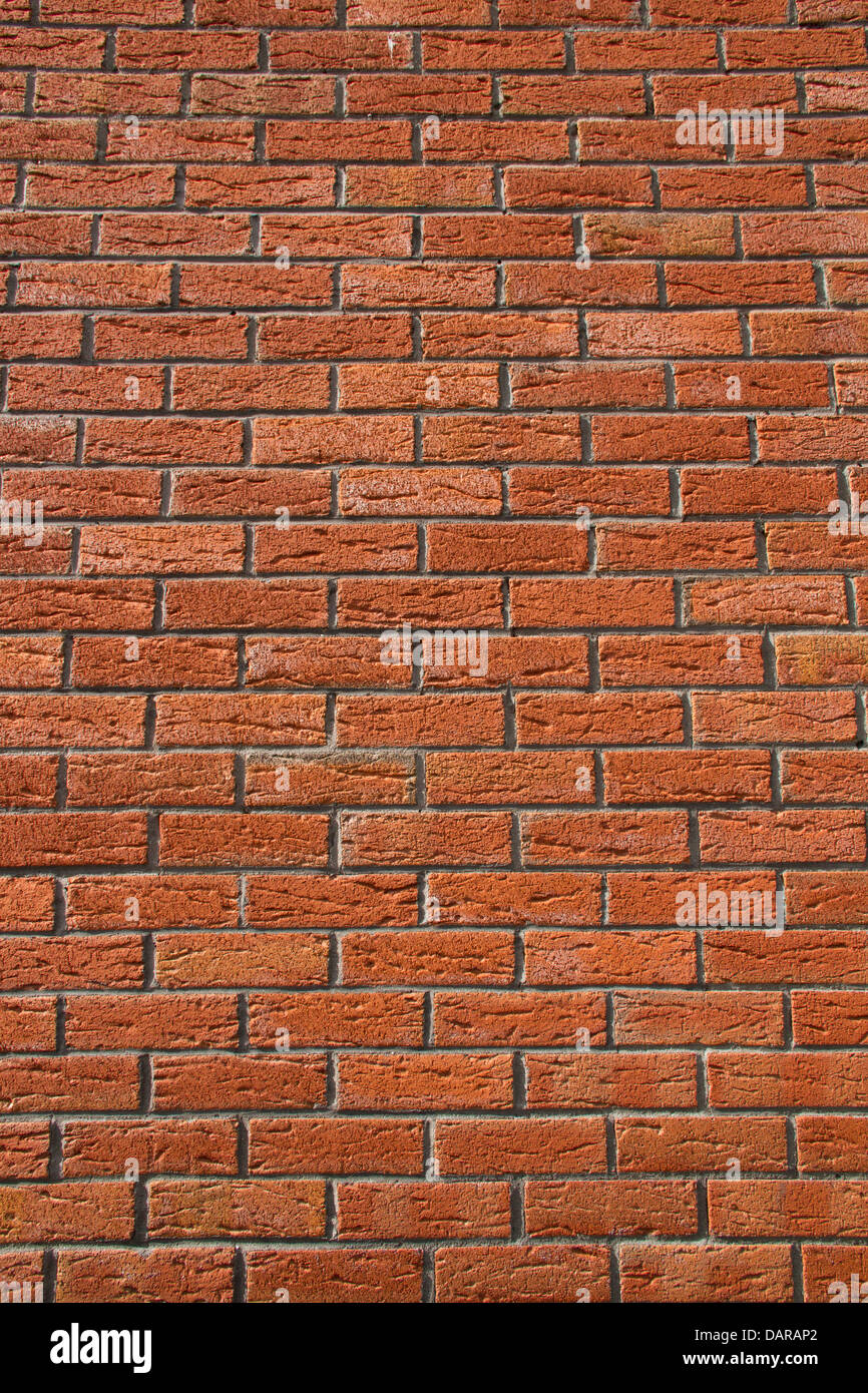 File:Don't Be Another Brick In The Wall (40820885050).jpg - Wikimedia  Commons