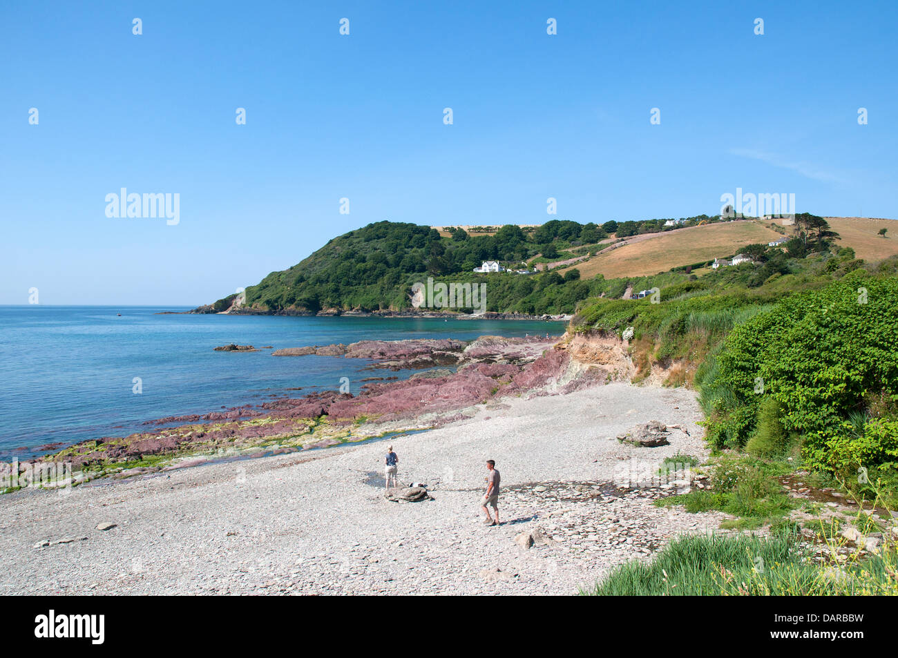 The shingle beach at talland bay near looe in cornwall, uk Stock Photo