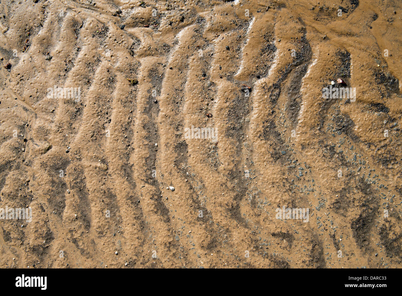 Brown sand after rain drops texture background Stock Photo - Alamy