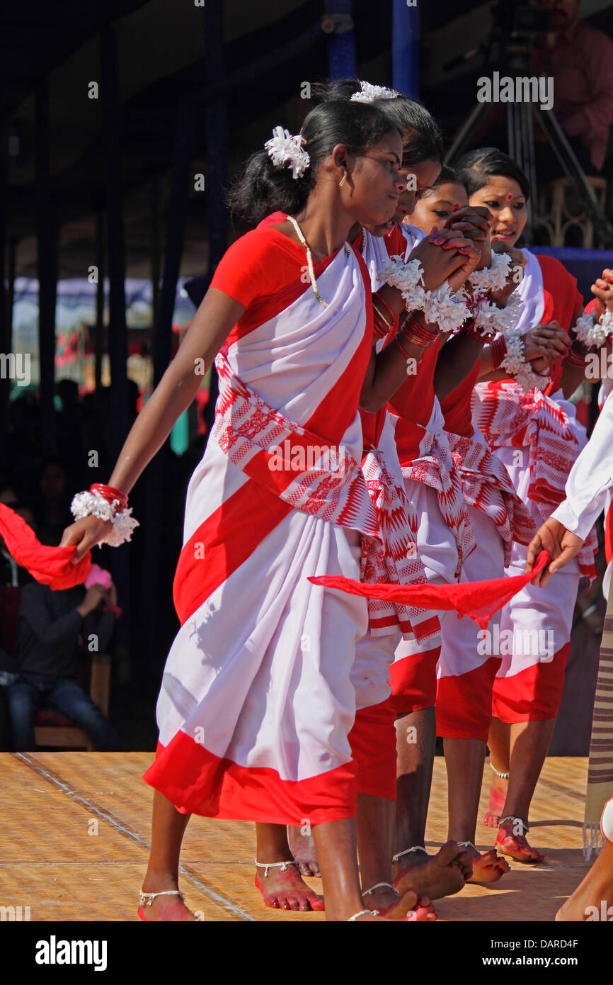 Tea tribes Performing Traditional Jumur Dance at Namdapha Eco Cultural