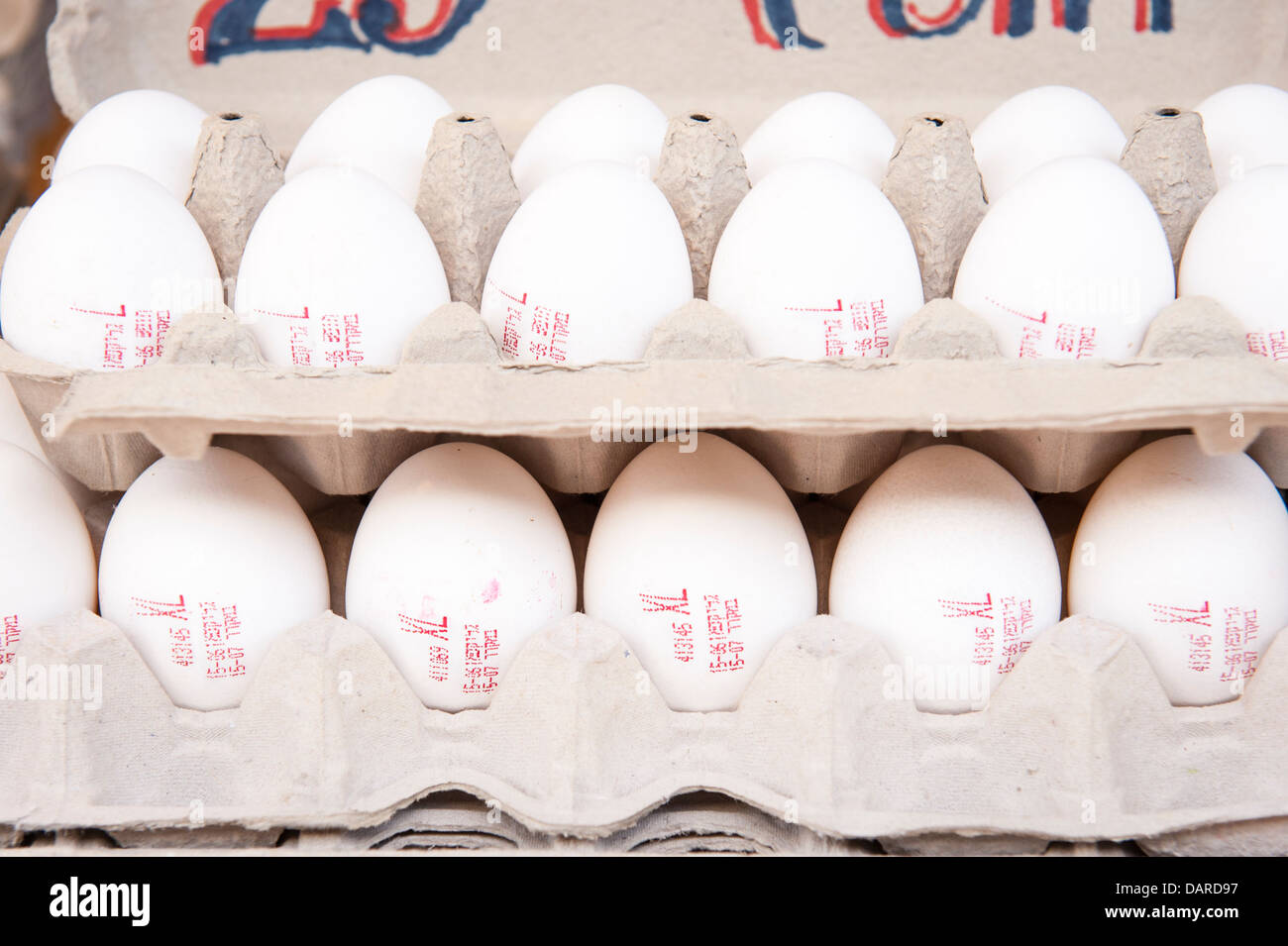 Israel Tel Aviv Carmel Market fresh Kosher XL white eggs in egg paper