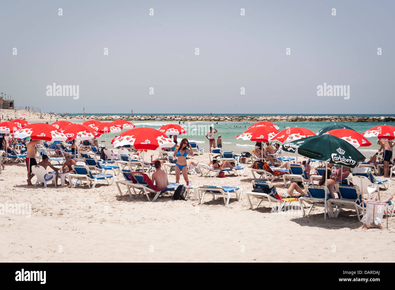 Israel Tel Aviv sand beach scene parasols umbrellas sonnenschirm sea lounger loungers people sunbathers swimming swimmers stone breakwater sea Stock Photo